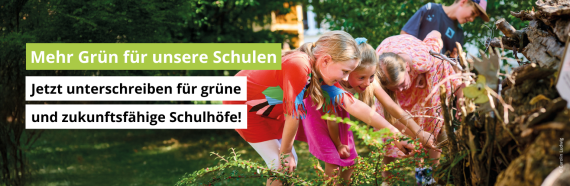 Button zur Petition