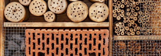 Leserinnenbrief: Insektenhotel